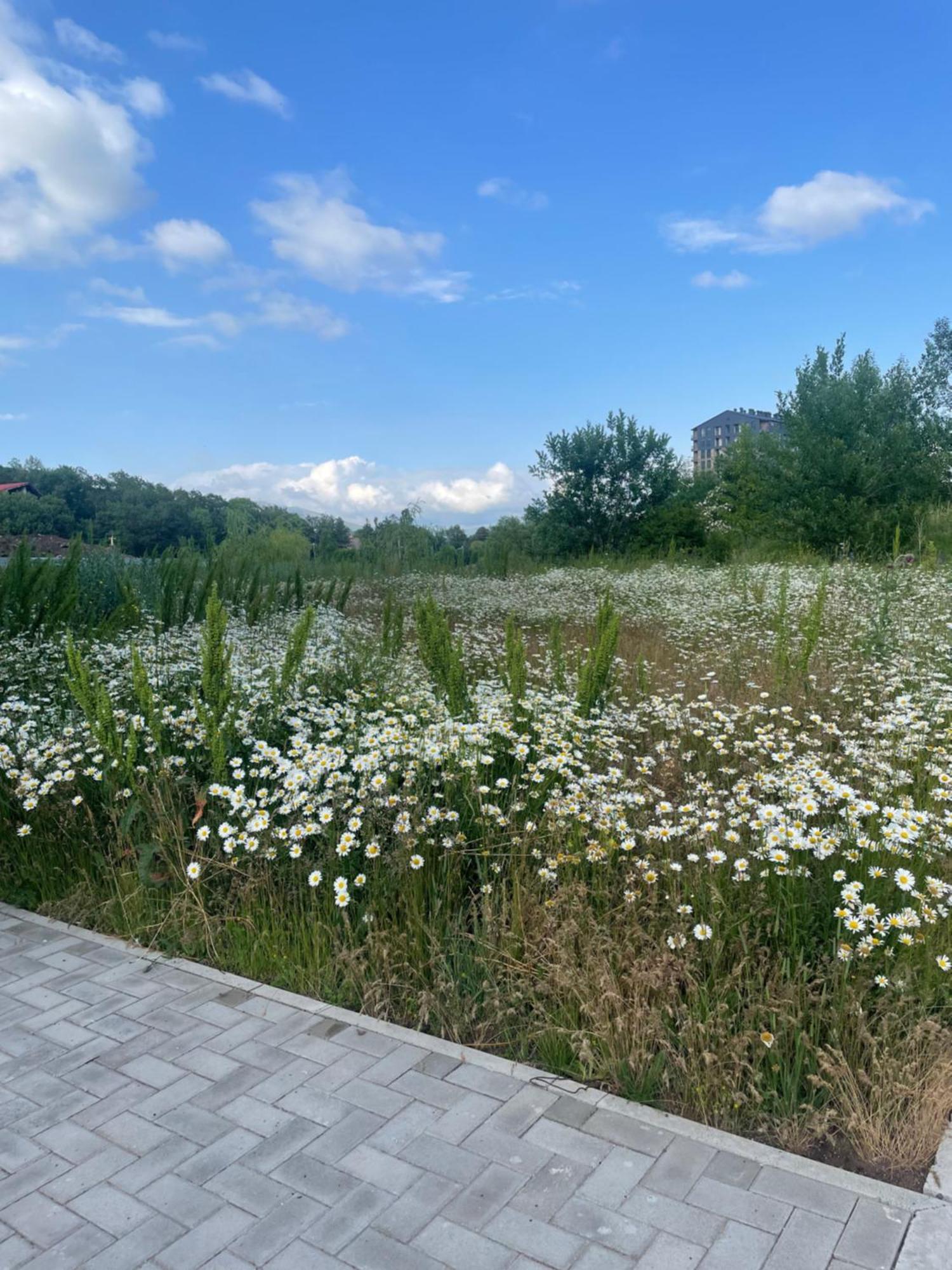 Apartmán Tsaghkadzor Alvina Complex Exteriér fotografie